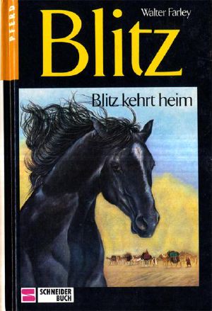 [Blitz 02] • Blitz kehrt heim